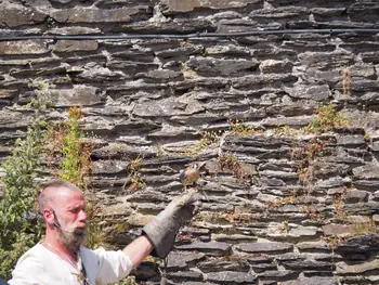 Birds of prey show at Chateau de La Roche-en-Ardenne (Belgium)